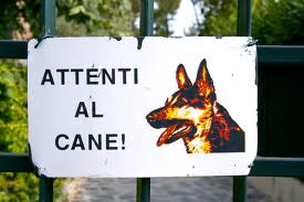 beware of the dog. he's loud & annoying but he won't kill you.