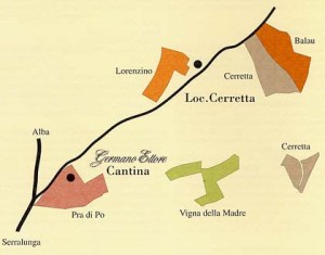 an oversimplified vineyard map