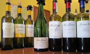 the starting line-up