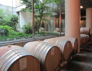 a little bit of natural light ...and Barolo barrels