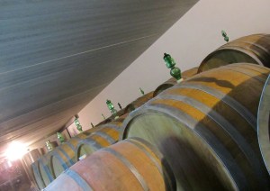 Slavonian oak casks in the Vajra cellar