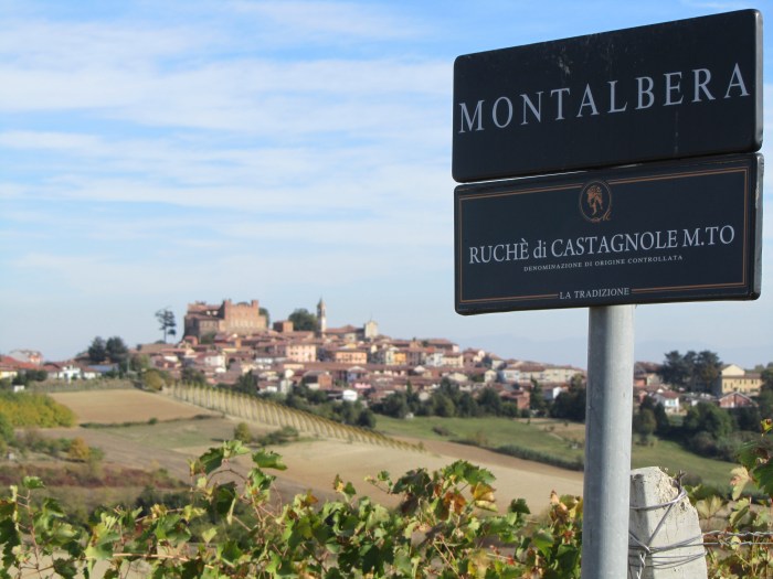 a view of the Castagnole Monferrato village , from the Montalbera estate. Oct 12, 2011