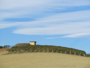 hills near Castagnole Monferrato, oct 2011