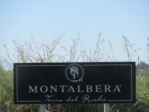 Montalbera