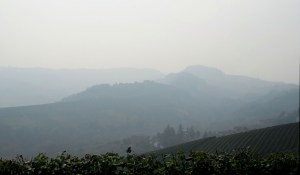 Barolo Fog Panorama