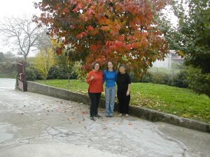 trees in front of Le Viole. Me in 2005.