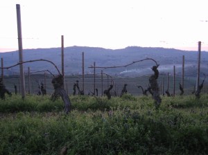 fires in the distance