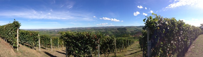 panorama of La Morra vineyards, Oct 10 