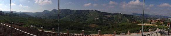 Vineyards of Vigna Rionda on the left, Margheria and Marenca on the right, and Monforte (Ginestra) in the background, as seen from the Pira TR.