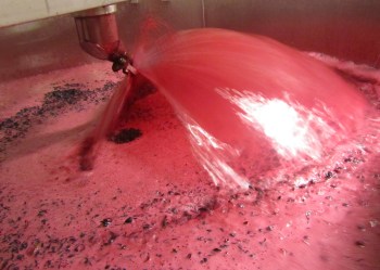 Pumpover of the 2013 Pugnane.