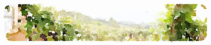 Painted in Waterlogue