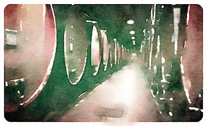 Nino Negri barrel room