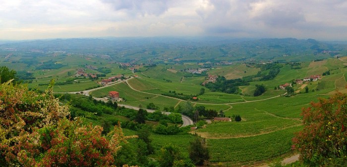 La Morra vyds Castiglione Falletto in background