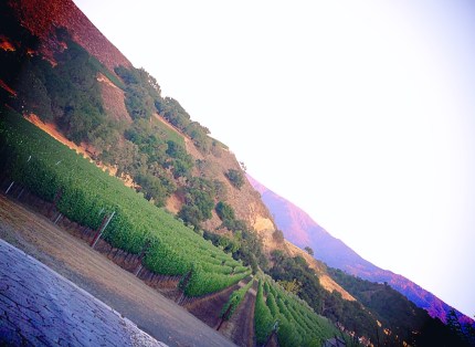 Happy Canyon, as seen from Grassini Family Vineyards on July 11, 2014.