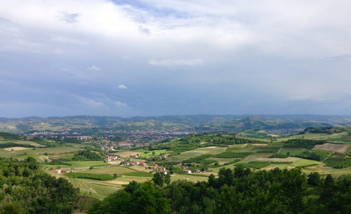 Roero Vineyards, taken from the famous Valmaggiore Vineyard. May 13, 2014.
