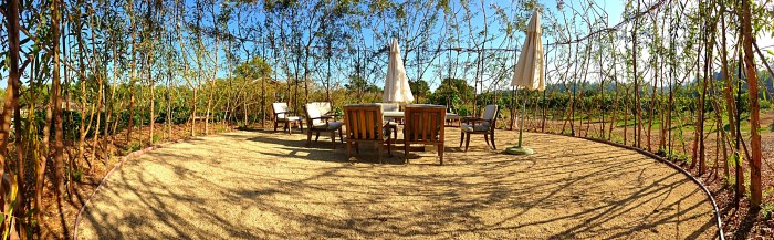 The Davero Willow Circle. "Andiamo!"