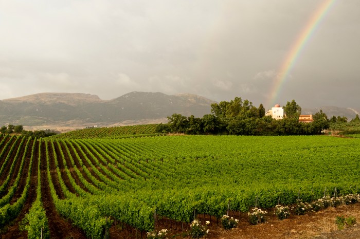 Agrirelais_con_arcobaleno