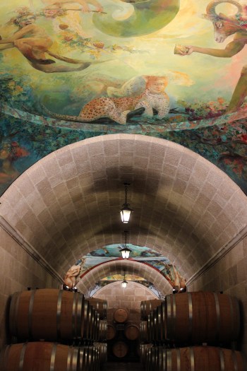 Inside Mastroberardino, September 2014.