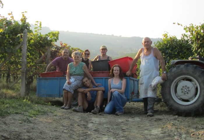 Me & the Corino crew, harvest 2011.
