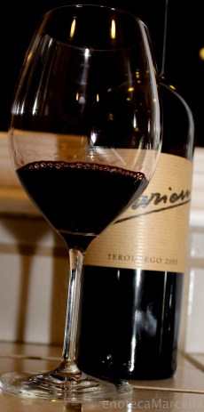 Marion Teroldego 2005