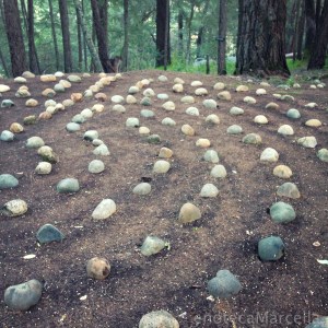 The Meadowood Rock Labyrinth, at the Wine Writers Symposium last February.