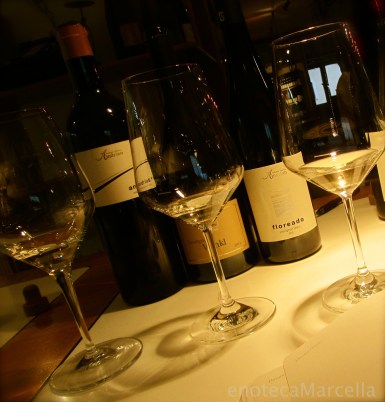 Sauvignon Tasting at Cantina Terlano