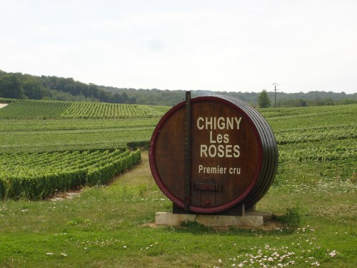 Chigny-les-Rose vineyards, thanks towww.lacaveduterroir.com
