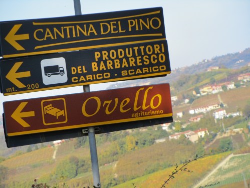 Entering the Barbaresco village ...